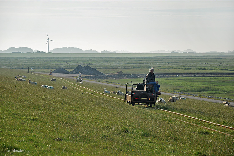 Foto: Jens Grünebaum