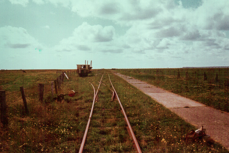 Foto: Manfred Kimmig