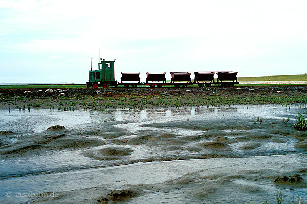 Foto: Albert Schimmelpfennig