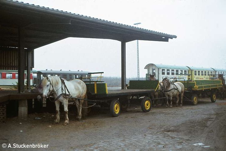 Foto: Dr. Lothar  Stuckenbröker