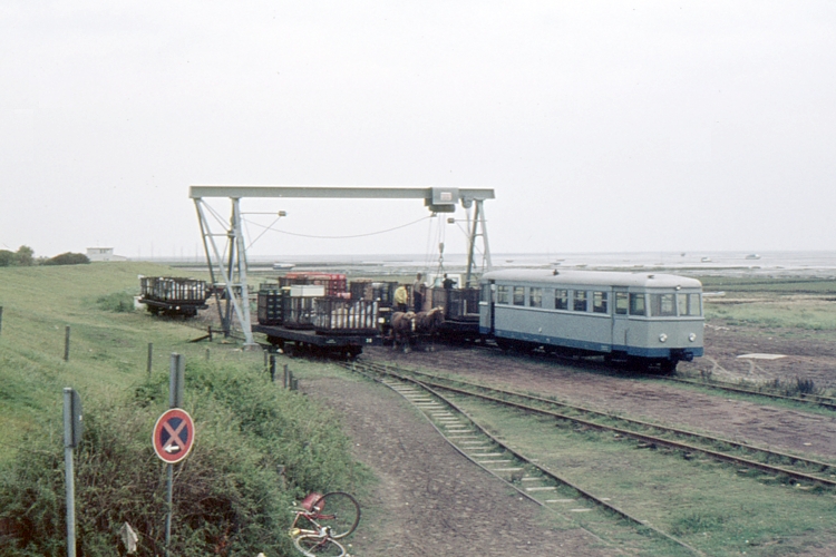 Foto: Helmut Beyer