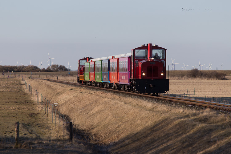 Foto: Gunnar Meisner