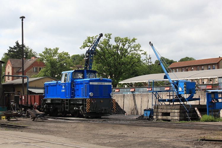 Foto: Markus Karell