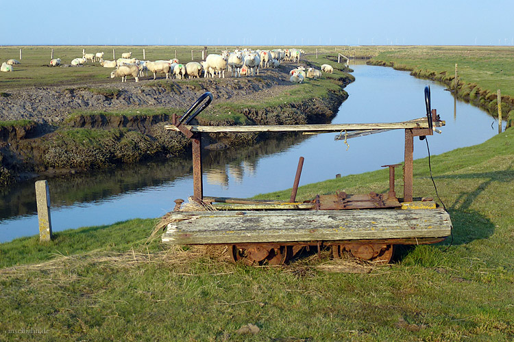 Foto: Burkhard Walbersloh