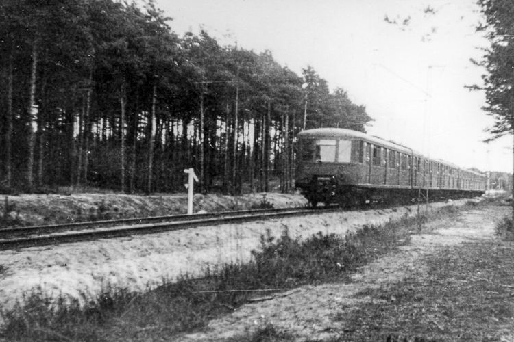 Foto: Willi Wilm (Archiv Claus Wilhelm Tiedemann)