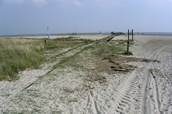 Foto: Markus Mischendahl