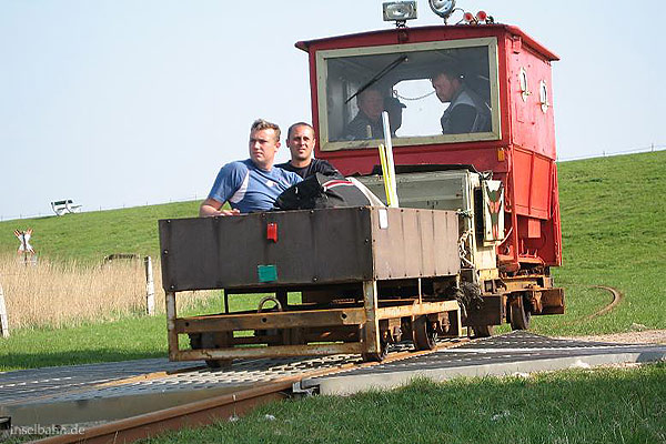 Foto: Alfred Nemec