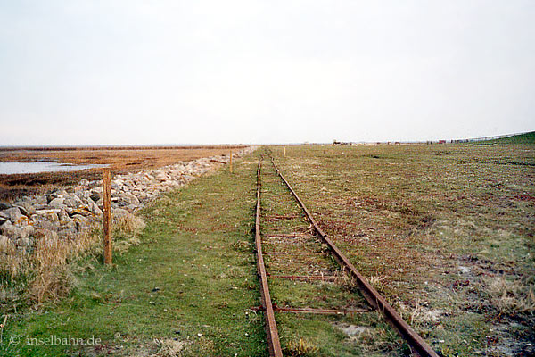 Foto: Martin Freundlich