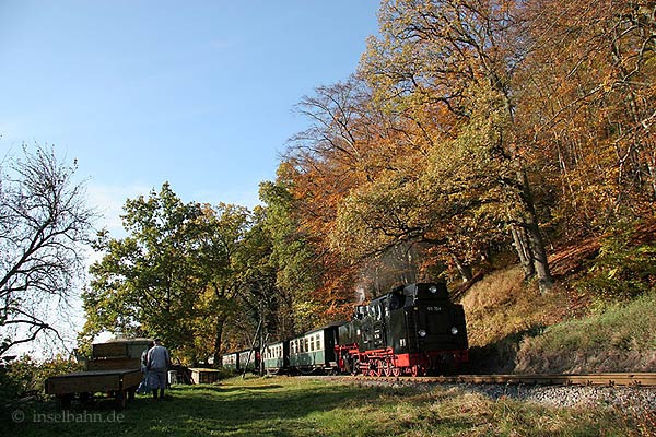 Foto: Gunnar Salchert