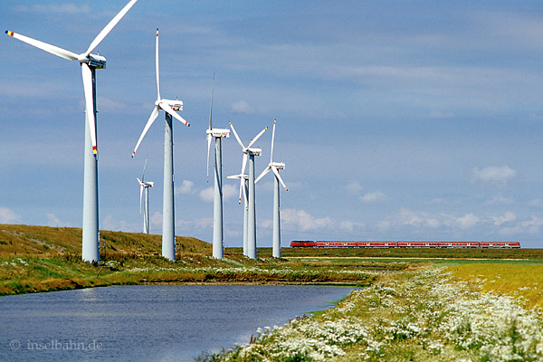 Foto: Albert Schimmelpfennig