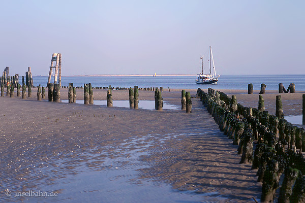 Foto: Malte Werning