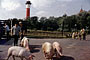 1962 - Wangerooge, Bahnhof