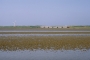 10.05.1994 - Wangerooge