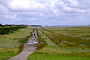 06.08.2005 - Wangerooge, Neudeich