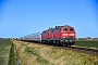 Henschel 31824 - DB Fernverkehr "218 366-3"
24.04.2021 - Emmelsbüll-Horsbüll (Niebüll), BÜ Triangel
Jens Vollertsen