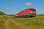 Henschel 31830 - DB Autozug "218 372-1"
23.05.2009 - Morsum (Sylt)
Jens Vollertsen