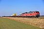 Henschel 31834 - DB Fernverkehr "218 376-2"
12.03.2016 - (Niebüll) Emmelsbüll-Horsbüll, BÜ Triangel
Jens Vollertsen
