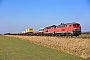 Henschel 31834 - DB Fernverkehr "218 376-2"
12.03.2016 - (Niebüll) Emmelsbüll-Horsbüll, BÜ Triangel
Jens Vollertsen