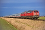 Henschel 31837 - DB Fernverkehr "218 379-6"
20.02.2021 - Emmelsbüll-Horsbüll (Niebüll), BÜ Triangel
Jens Vollertsen