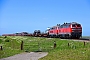 Henschel 31838 - DB Fernverkehr "218 380-4"
21.05.2020 - Rickelsbüller Koog
Jens Vollertsen