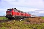 Henschel 31838 - DB Fernverkehr "218 380-4"
08.01.2022 - Emmelsbüll-Horsbüll (Niebüll), BÜ TriangelJens Vollertsen