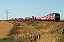 Krauss-Maffei 19533 - DB Autozug "218 157-6"
19.07.2006 - Klanxbüll
Tomke Scheel