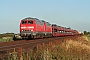 Krupp 5055 - Sylt-Shuttle "215 901-0"
19.07.2006 - Klanxbüll
Tomke Scheel