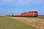 Krupp 5306 - DB Fernverkehr "218 313-5"
12.03.2016 - (Niebüll) Emmelsbüll-Horsbüll, BÜ TriangelJens Vollertsen