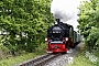 LKM 32023 - PRESS "99 1782-4"
05.06.2009 - Sellin (Rügen)
Detlef Nerstheimer