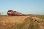 MaK 2000069 - DB AutoZug "215 909-3"
14.04.2006 - Emmelsbüll-Horsbüll
Tomke Scheel