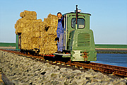 Halligbahn. Foto: Albert Schimmelpfennig